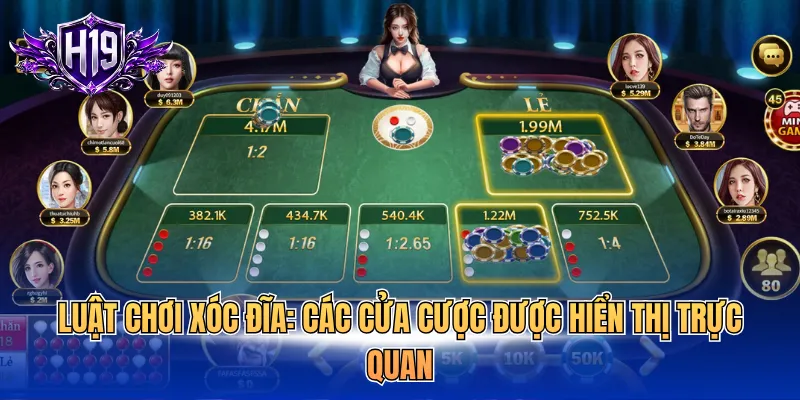 Luật chơi xóc đĩa: Các cửa cược được hiển thị trực quan